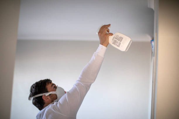 Best Local Mold Removal Service  in Blacklick Estates, OH