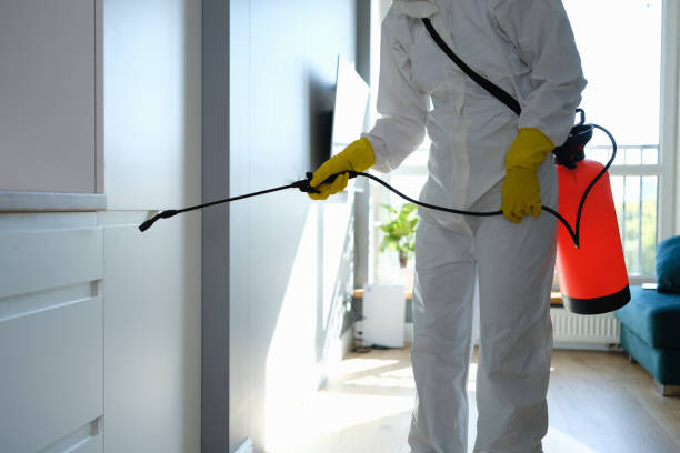 Best Office Mold Removal Services  in Blacklick Estates, OH