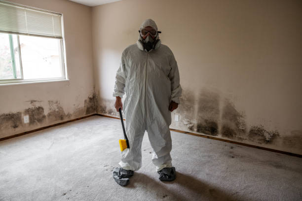 Best Residential Mold Removal  in Blacklick Estates, OH